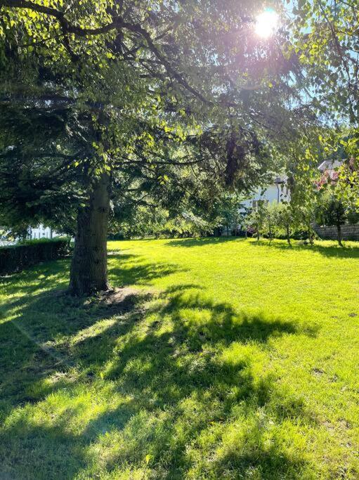 Appartamento Ginepro Pian dei Pradi Экстерьер фото